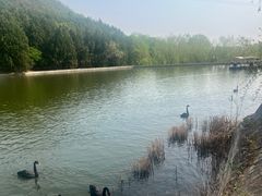 -静之湖度假区