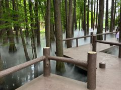 -东湖落雁景区