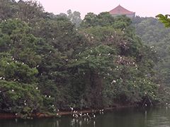 -广州莲花山旅游区
