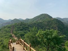 -大岭沟猕猴桃谷风景区