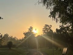 -白鹭湾湿地公园