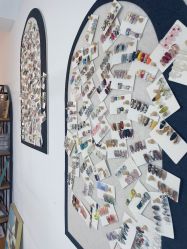 -DAZZLING BEAUTY美甲•美睫专门店