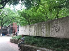 -黄桷坪涂鸦艺术街