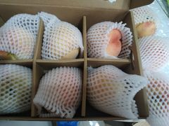 -南汇新场正宗水蜜桃采摘