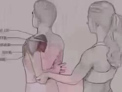 -香薇妮丝女子减肥院