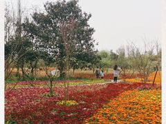 -桤木河湿地公园