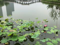 -西海子公园