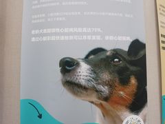 -瑞鹏宠物医院·骨科·猫科·内科(第一中心)