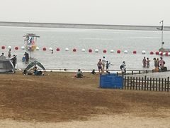 -碧海金沙