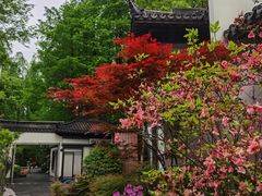 -杭州西湖柳莺里酒店