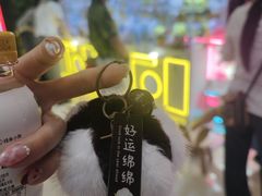 -呀诺达热带雨林