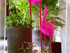 -蝶舍·MAISON PAPILLON