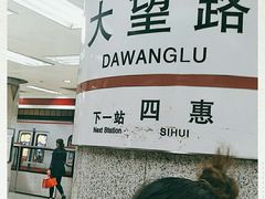 -大望路(地铁站)