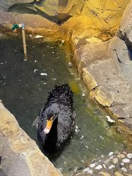 -酷嗒动物文化乐园(cutezoo西溪乐天城店)