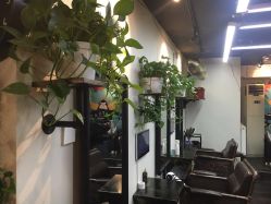 -AFA Hair studio·女士发型设计