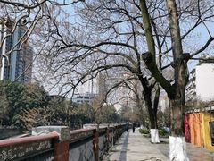 -成都市活水公园