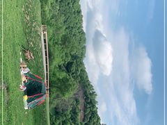 -关山草原