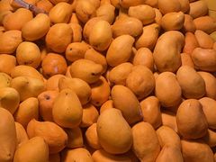 -五里多农博广场