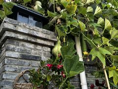 -聚农庄民宿农家院(梨木台东山店)