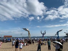 -大梅沙海滨公园