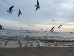 -老虎石海上公园