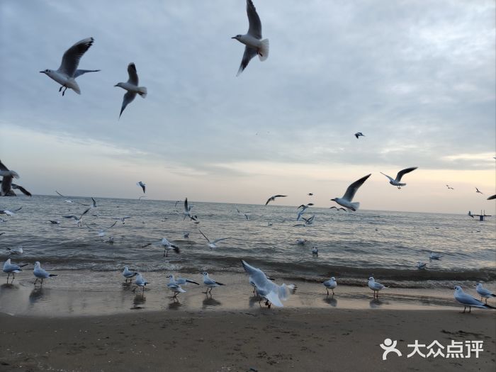 老虎石海上公园图片