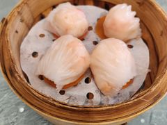 -寻味顺德·珍之宝酒楼(银钻店)