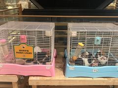 -姑苏二十四集(iD PARK 歌林公园店)