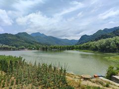-后柳水乡