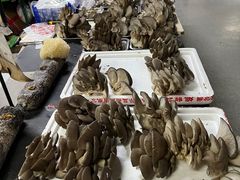 -金宝生活市场(东五环店)