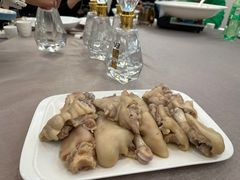 -丁老爷子苏香圆