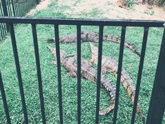 -可伦宾野生动物保护区