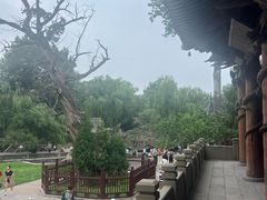 -晋祠公园