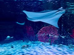 -沈阳海洋探索中心