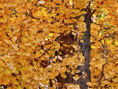 -东钱湖旅游度假区