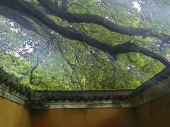 -普陀山慧济禅寺