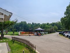 -青龙山国家森林公园