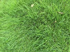 ba➏-优游吧斯邹族文化部落