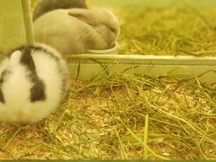 -龙猫仔乐园(惠福东路店)