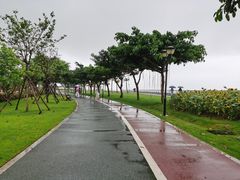 -野狸岛