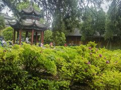 -洛阳白马寺