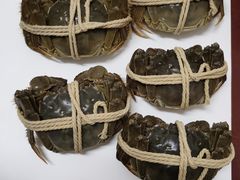 -喜洋洋蟹庄(阳澄湖店)