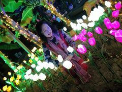 -万源龙顺度假庄园生态观光园