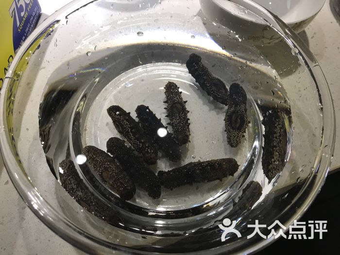 刚泡到水里的海参