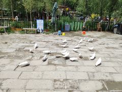 -水磨沟公园