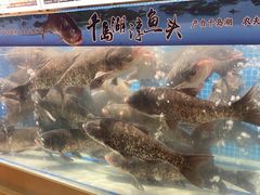 -四季厨房 鲁菜·孔府烤鸭(二环南路店)