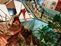 -湖南省地质博物馆