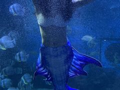 -石林冰雪海洋世界