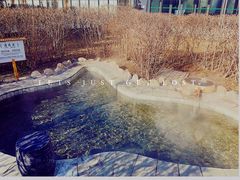 -河北霸州茗汤日月潭温泉