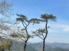 -莫干山风景区